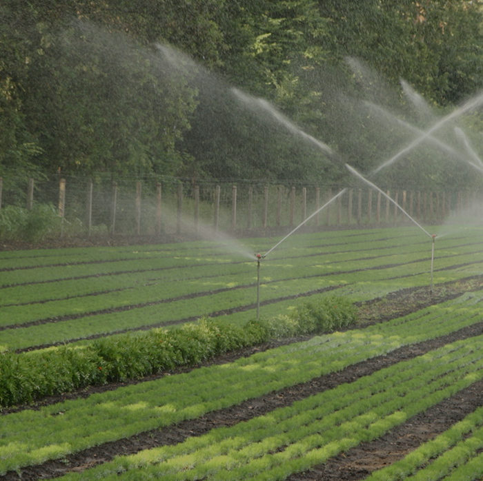 Sprinkling & Irrigation